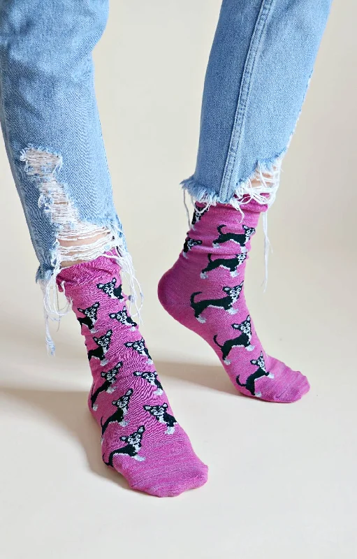Women's knee - high socks with lace trimAnimal Rescue Pairs CHIWAWA Dog Socks