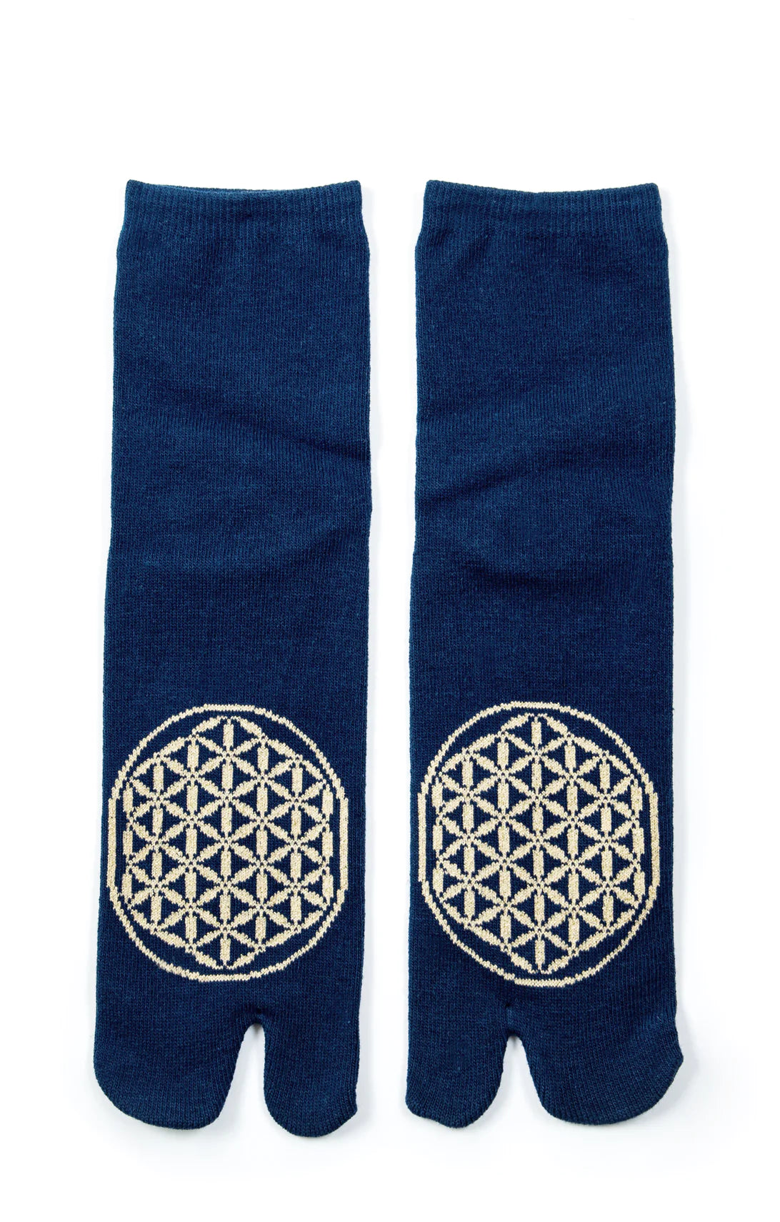 NAVY/GOLD