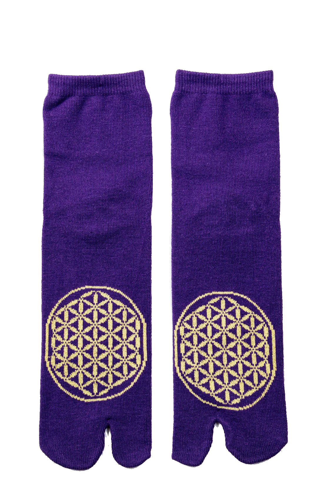 PURPLE/GOLD