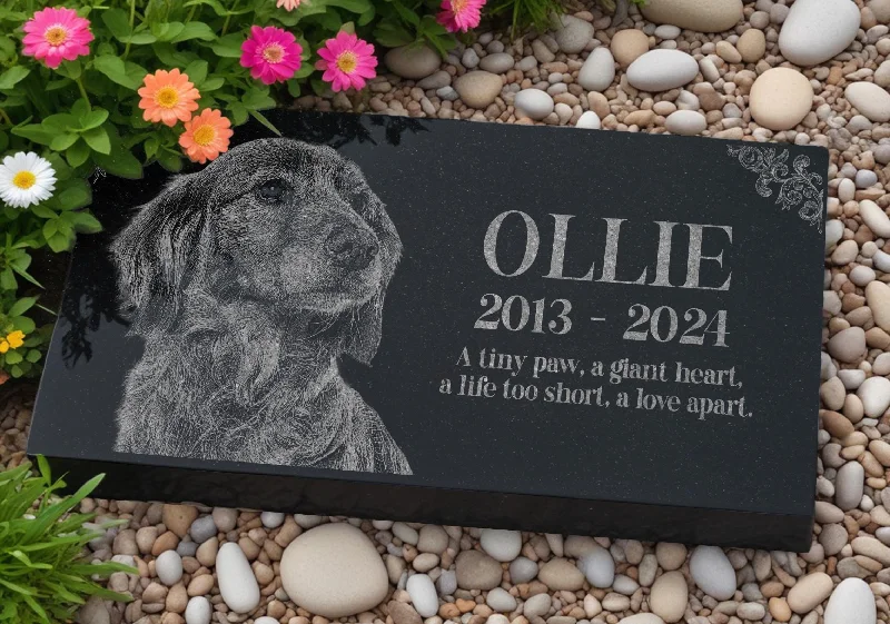 Leather - look stockings for an edgy stylePersonalized Pet Memorial Stone | Custom Grave Marker | Engraved Headstone for Cats & Dogs | Outdoor Animal Burial Monument | Pet Tombstone Leather - look stockings for an edgy stylePersonalized Pet Memorial Stone | Custom Grave Marker | Engraved Headstone for Cats & Dogs | Outdoor Animal Burial Monument | Pet Tombstone