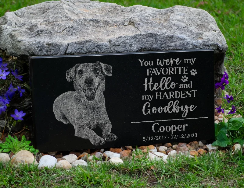 Christmas - colored stockings for the holiday seasonYou Were My Favorite Hello and Hardest Goodbye Personalized Dog Puppy Portrait Memorial Gift | Loss of Pet | Cat Kitten Remembrance Tribute